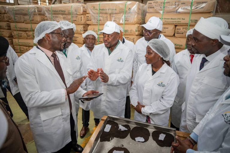 KTDA Holdings chairman Enos Njeru (left) explaning tea processing procedures to stakeholders led by CS Mutahi Kagwe yesterday.