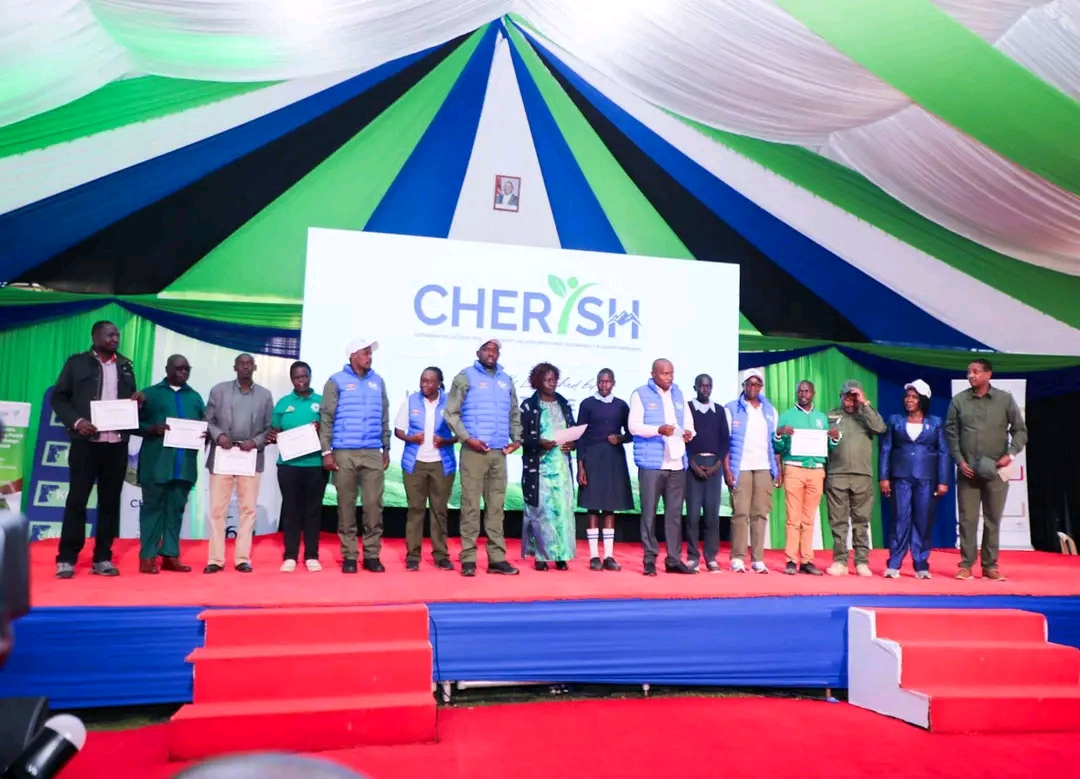 Cherangany Hills Ecosystem Restoration for Livelihood Improvement, Sustainability and Harmony (CHERISH)