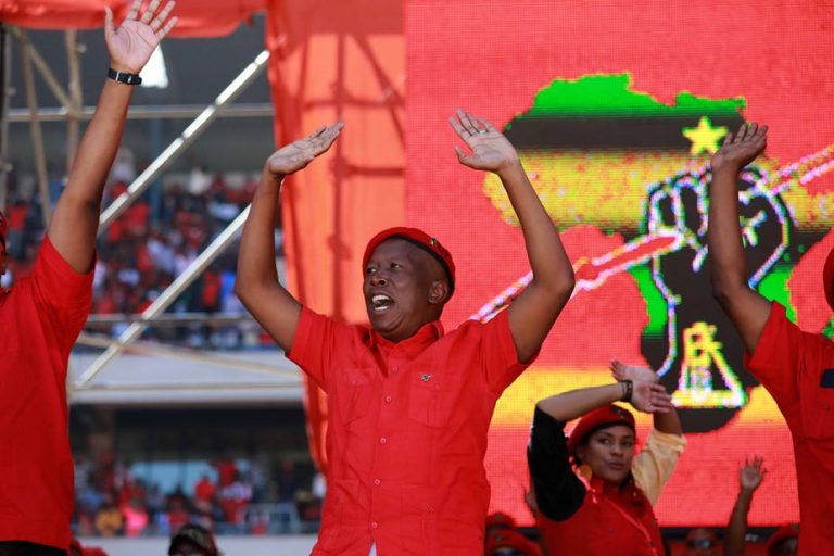Economic Freedom Fighters leader Julius Malema