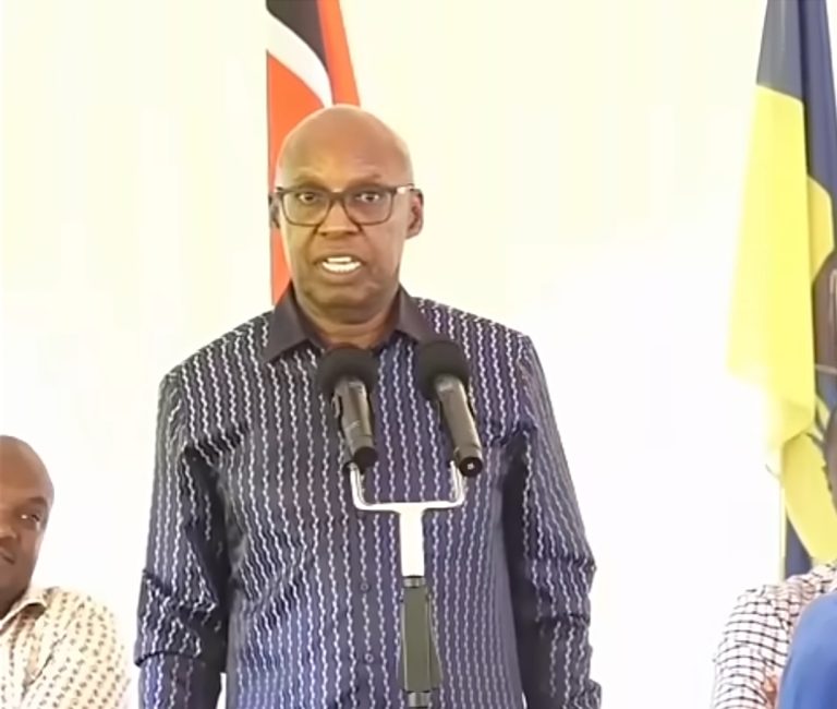 Jimi Wanjigi addressing delegates from Murang'a.