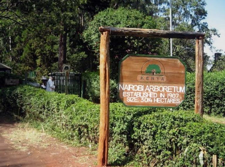 Nairobi Arboretum