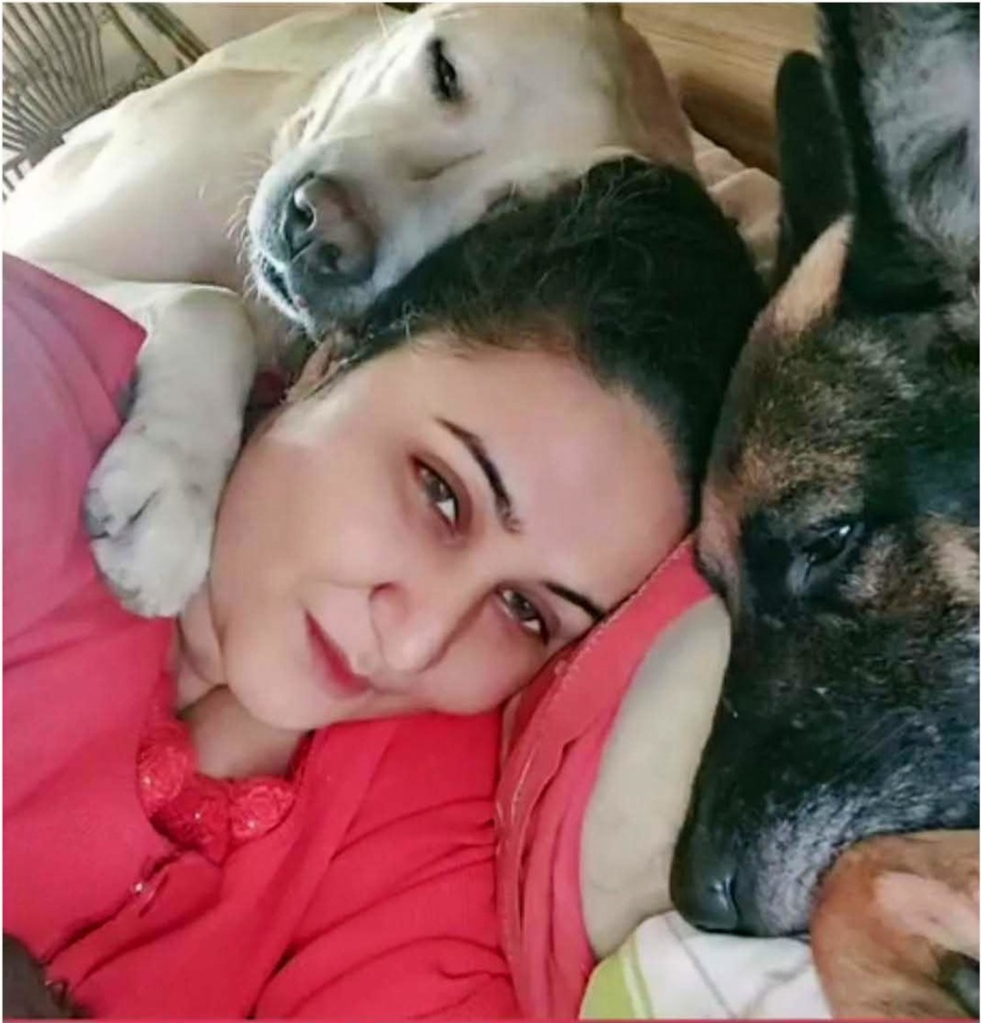 Photo 1 Comfort zone for depressed street dogs, Swati Blellani is always there to ensure their welfare.