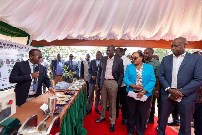 President William Ruto being taken coffee processing process.