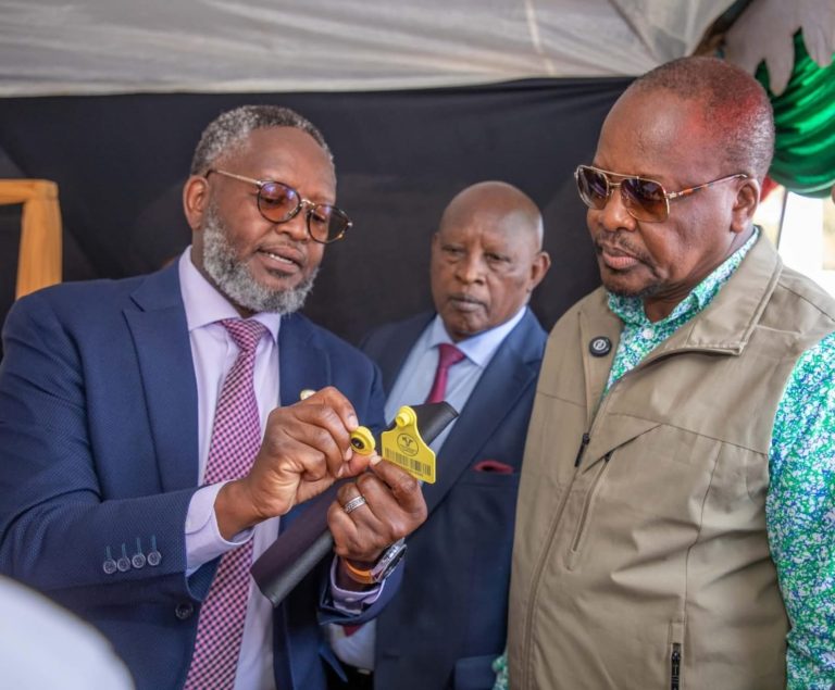 A livestock expert explaining a point to CS Mutahi Kagwe (right) and Nyeri Governor Mutahi Kahiga (centre).