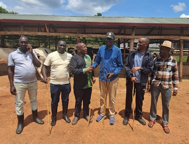 Alex Gathii Gitonga at a dairy farm in Nyagatare in Rwanda.