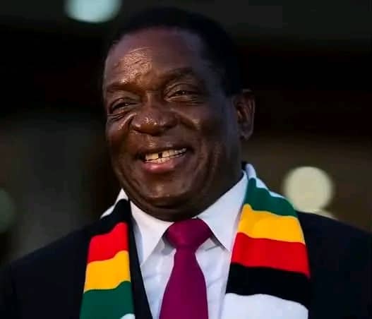 President Emmerson Mnangagwa