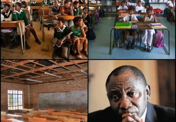The hidden victims of xenophobia