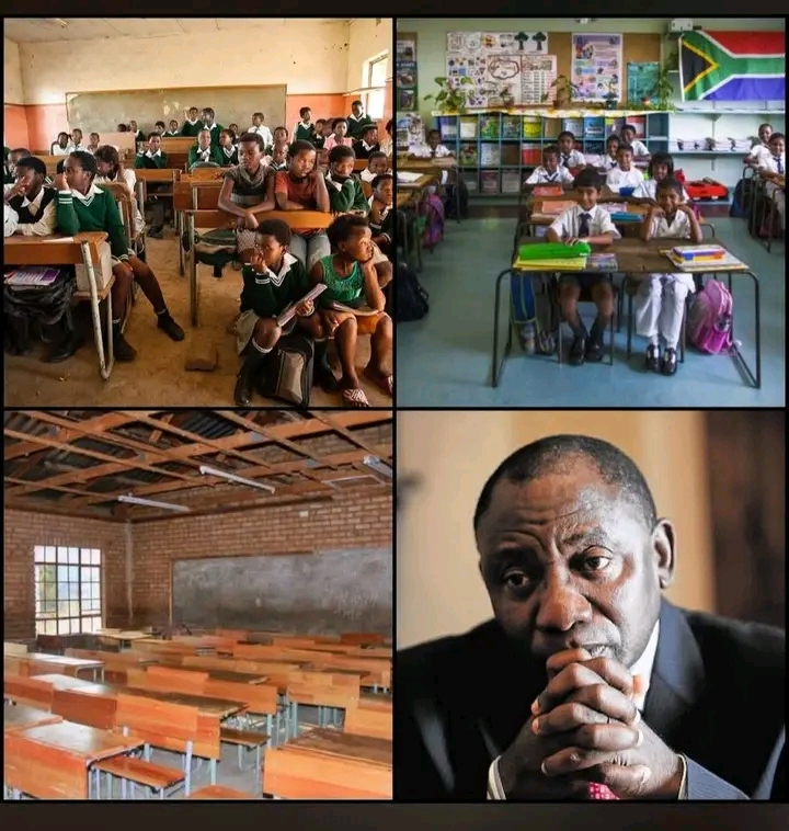 The hidden victims of xenophobia