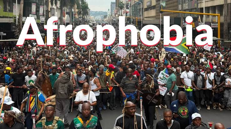 Why Africa must choose unity over Afrophobia