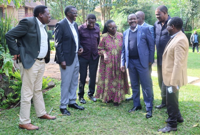 A coalition of opposition leaders