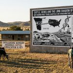 Cattle, Genes and the Long Shadow of Dependency