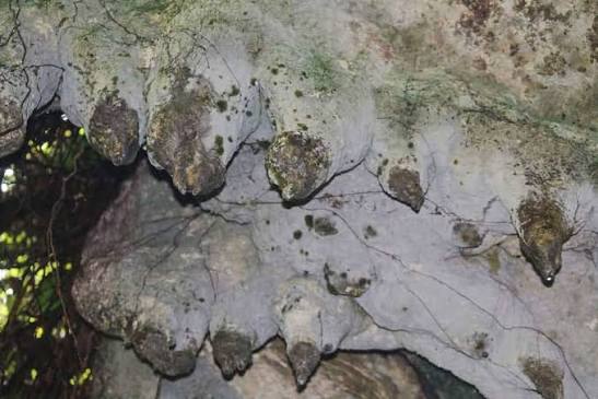 Nyinamwiru wept in a cave and Nyabagabo wept in a court — and Tooro, born between their tears, has never fully escaped either