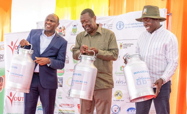 PCS Musalia Mudavadi with Chief of Staff Felix Koskei and Nandi Governor Stephen Sang.