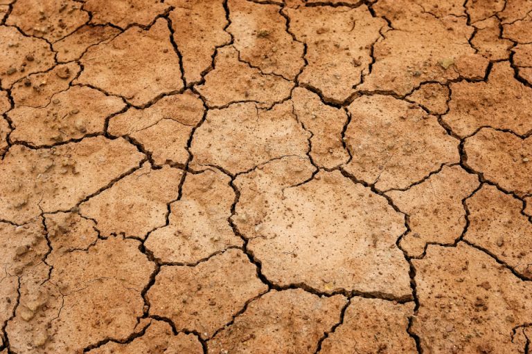 Photo 1 Parched Land in England.. Britain has been hit by drought leading to water shortages. Photo Enivornment Agency