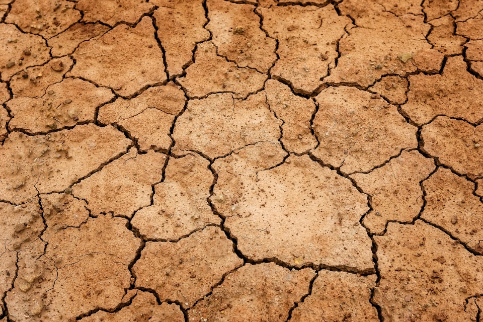 Photo 1 Parched Land in England.. Britain has been hit by drought leading to water shortages. Photo Enivornment Agency