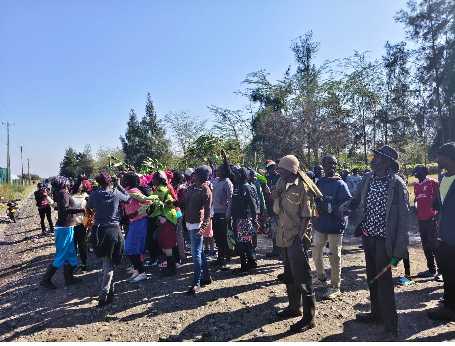 Protests at HBM Flowers Company Limited farm in Laikipia North