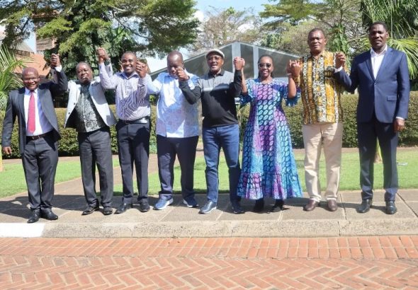 United Alternative Government