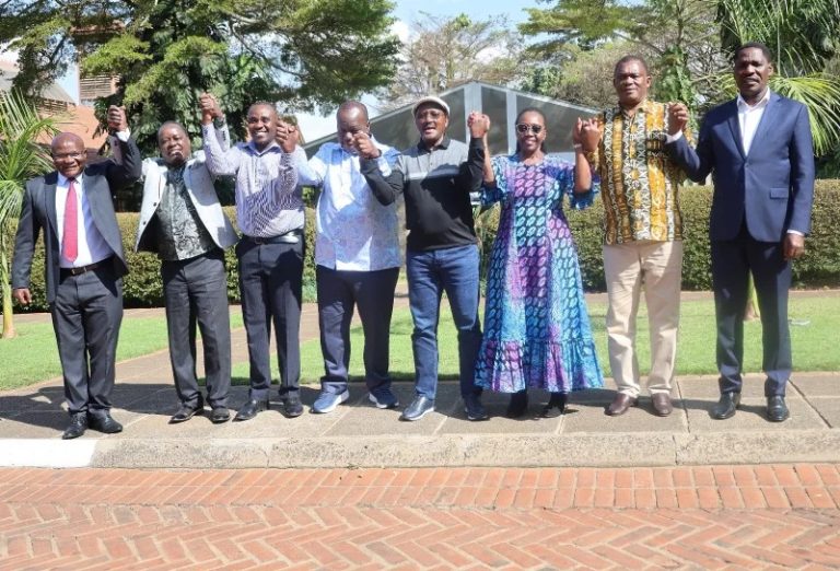 United Alternative Government