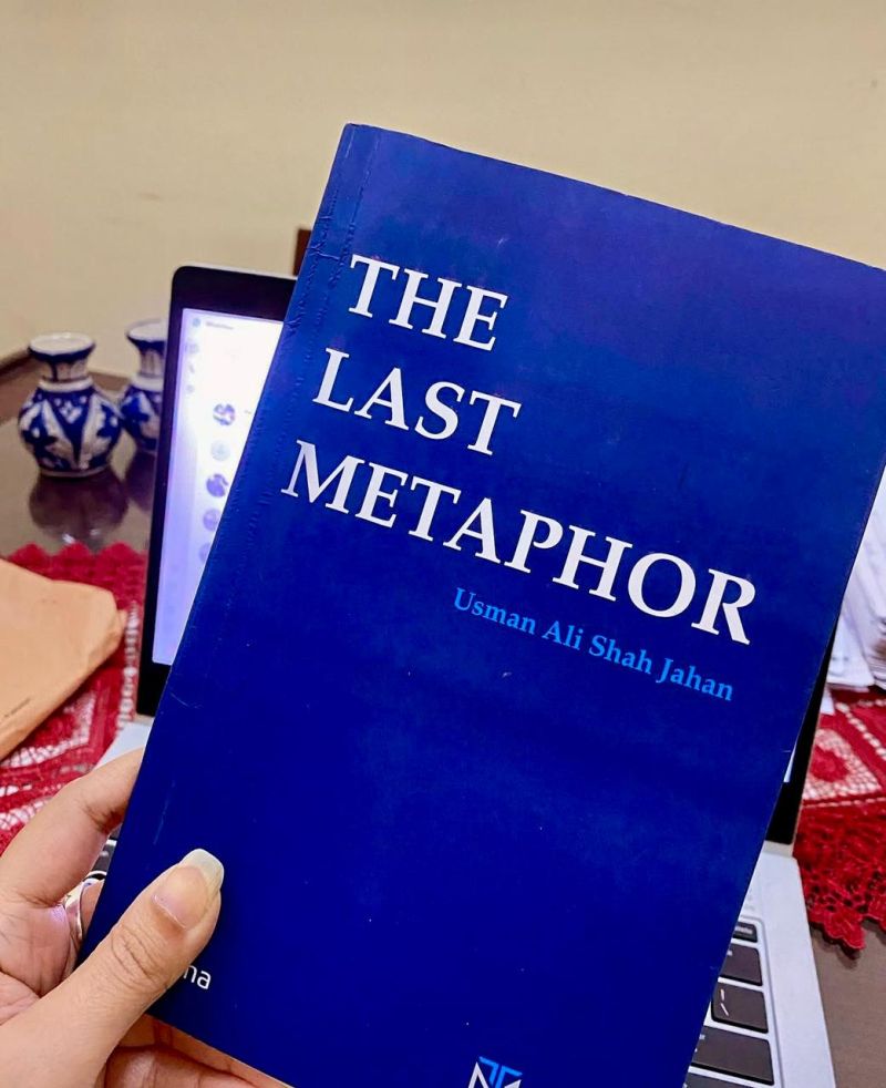A Critical Review of The Last Metaphor