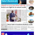 Diaspora Times Global Sep 5 - Sep 11, 2026_001