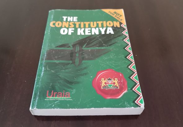 The 2010 Constitution