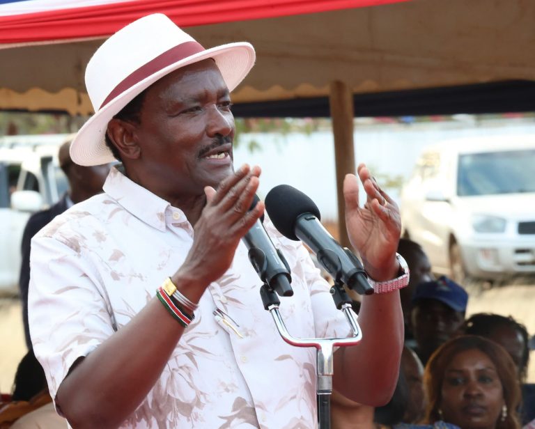 Wiper Patriotic Front leader Kalonzo Musyoka