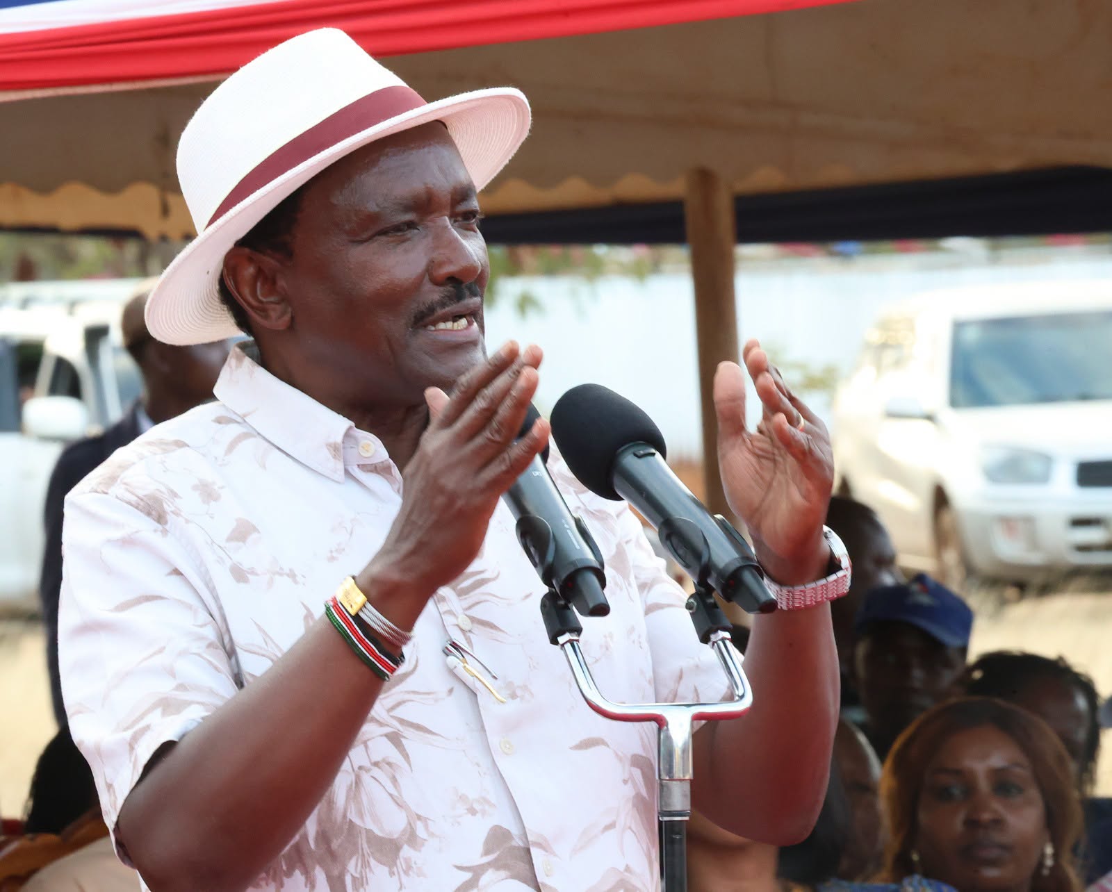 Wiper Patriotic Front leader Kalonzo Musyoka