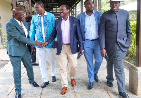Wiper Patriotic Front leader Kalonzo Musyoka yesterday convened a second consultative meeting of the United Alternative Government principals
