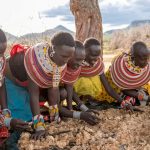 Acacia EPZ and ForestFoods
