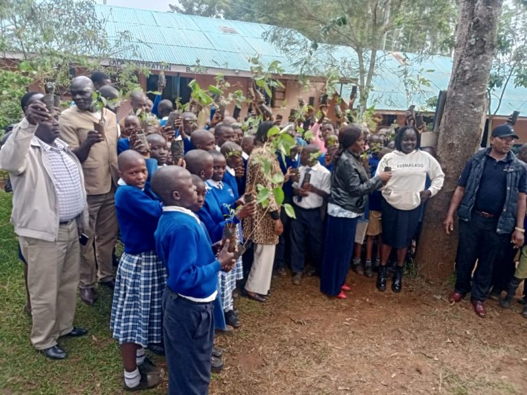 Bikeke students and teachers planting trees in mazingira day.