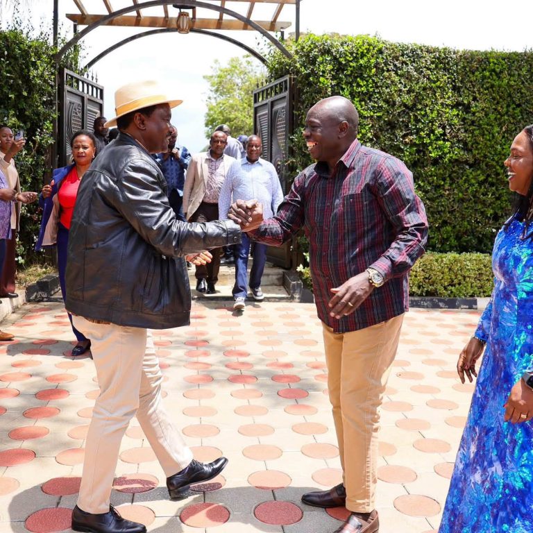 Democracy for the Citizens Party leader Rigathi Gachagua hosted Wiper Party leader Kalonzo Musyoka .