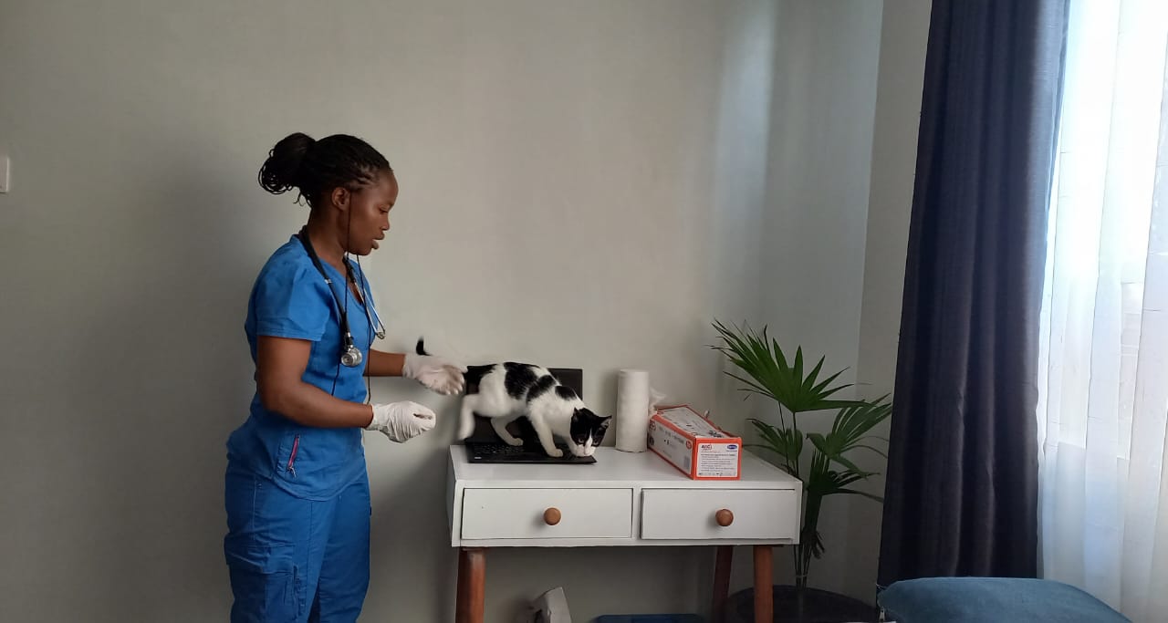 Dr. Linnet Okinyi