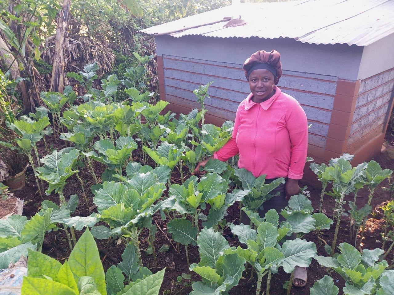 Joyce Kwamboka on her garden where she has planted indigenous vegetables