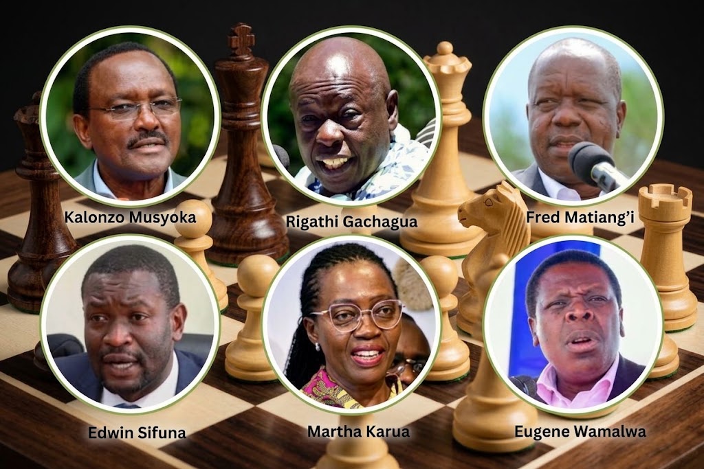 Kalonzo Musyoka, Rigathi Gachagua, Fred Matiang'i, Edwin Sifuna, Martha Karua and Eugene Wamalwa
