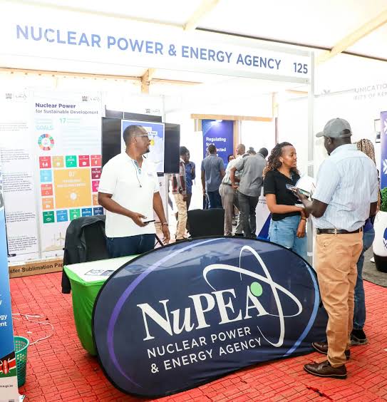 NuPEA team during exhibitions. Photo courtesy