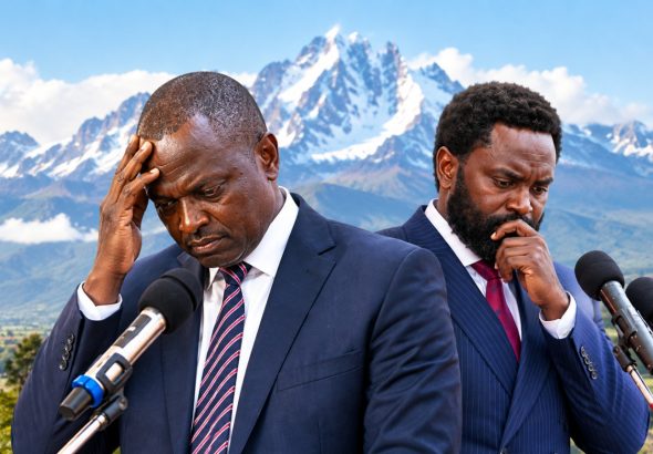 People's Party of Kenya leader Ndindi Nyoro and Democracy for the Citizens Party Secretary General John Methu.