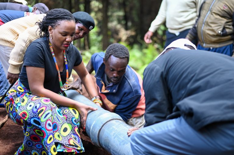 Principal Secretary for Diaspora Affairs Roseline Njogu