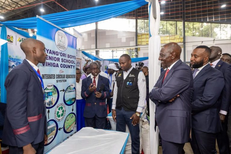 Ruto claims farming revolution as election season dawns 5