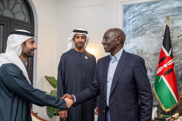 Ruto meets UAE minister in push to deepen trade ties 1