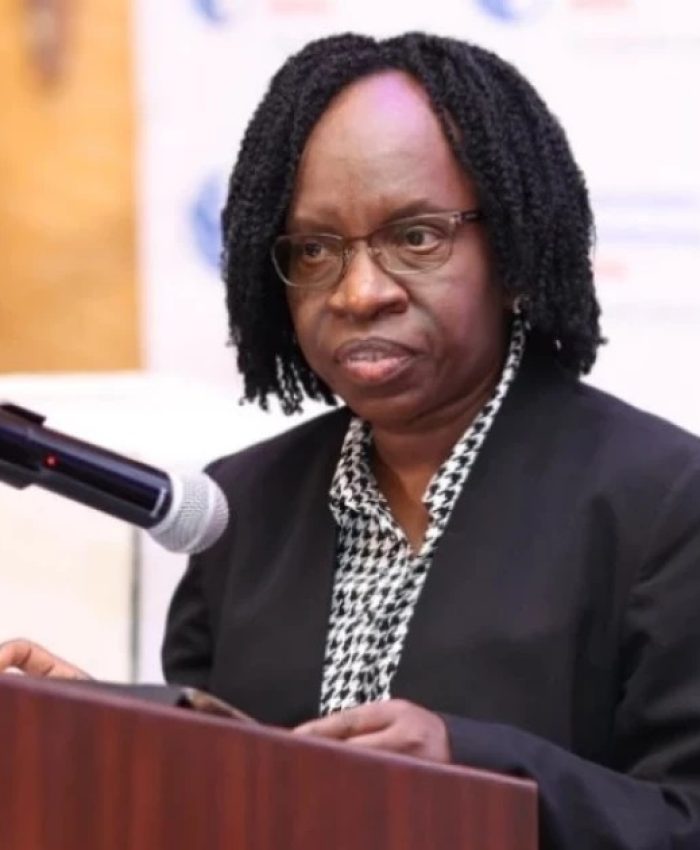 Auditor General Nancy Gathungu