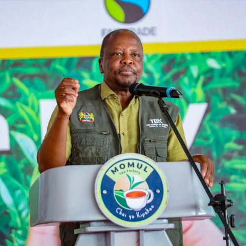 CS Mutahi Kagwe addressing the International Tea Day participants at Momul Tea Factory, Kericho county yesterday. Photos/Courtesy.