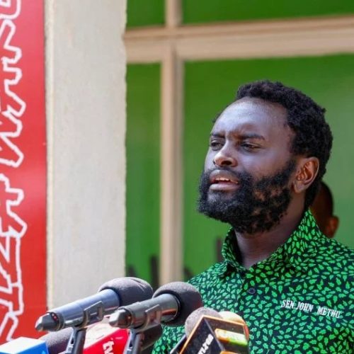 Democracy for the Citizens Party Secretary General designate John Methu