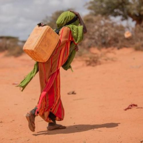Drought’s Grip Tightens On Kenya’s Vulnerable Communities