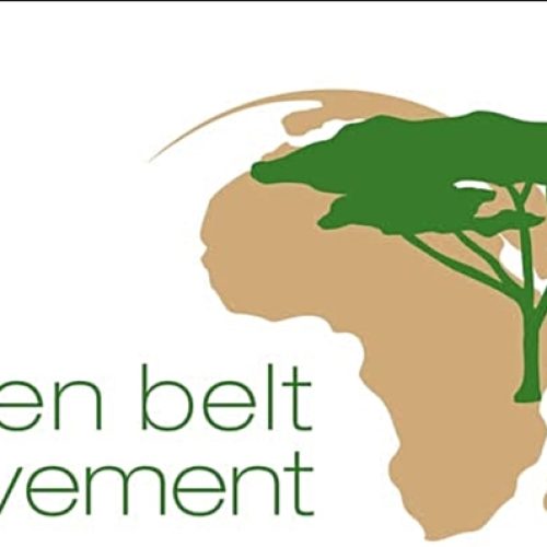 Environmentalists oppose Forest Law changes as Senate passes controversial amendment bill